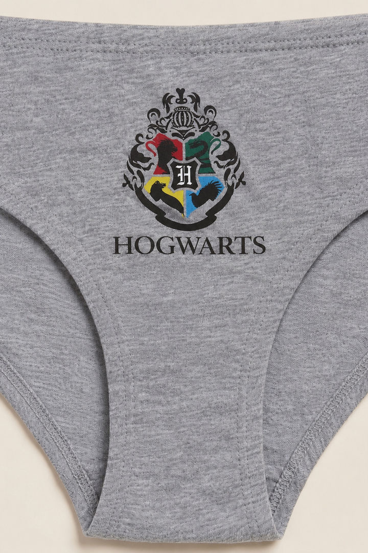 Zivame Girls Harry Potter Briefs (Pack of 2) - Multicolor — image 7